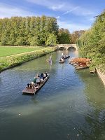 Typische Bootsfahrt (Punting) auf dem Cambridge namensgebenden Fluss Cam