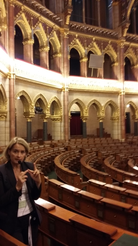 Erklärungen im großen Sitzungssaal Erklärungen im großen Sitzungssaal