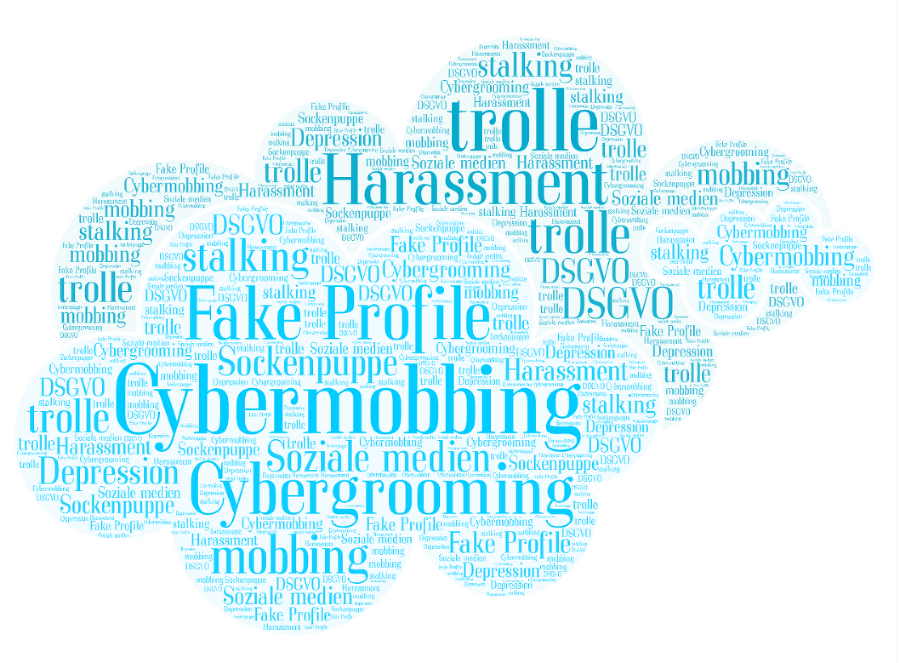 Cybermobbing