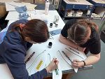 Glasbautechniker:innen bei derArbeit